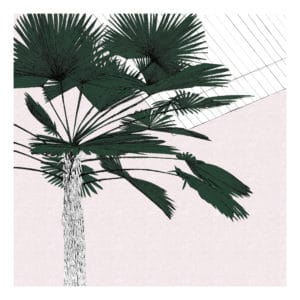 A Green Palms Blush Clare Halifax silkscreen print